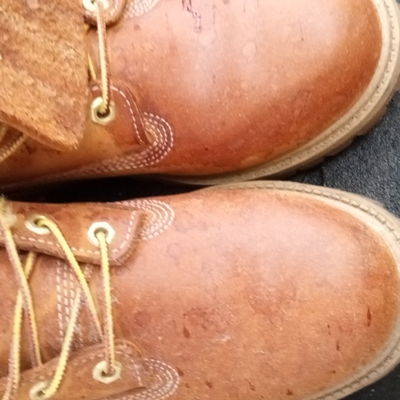 Timberland - Picture 7 of 8